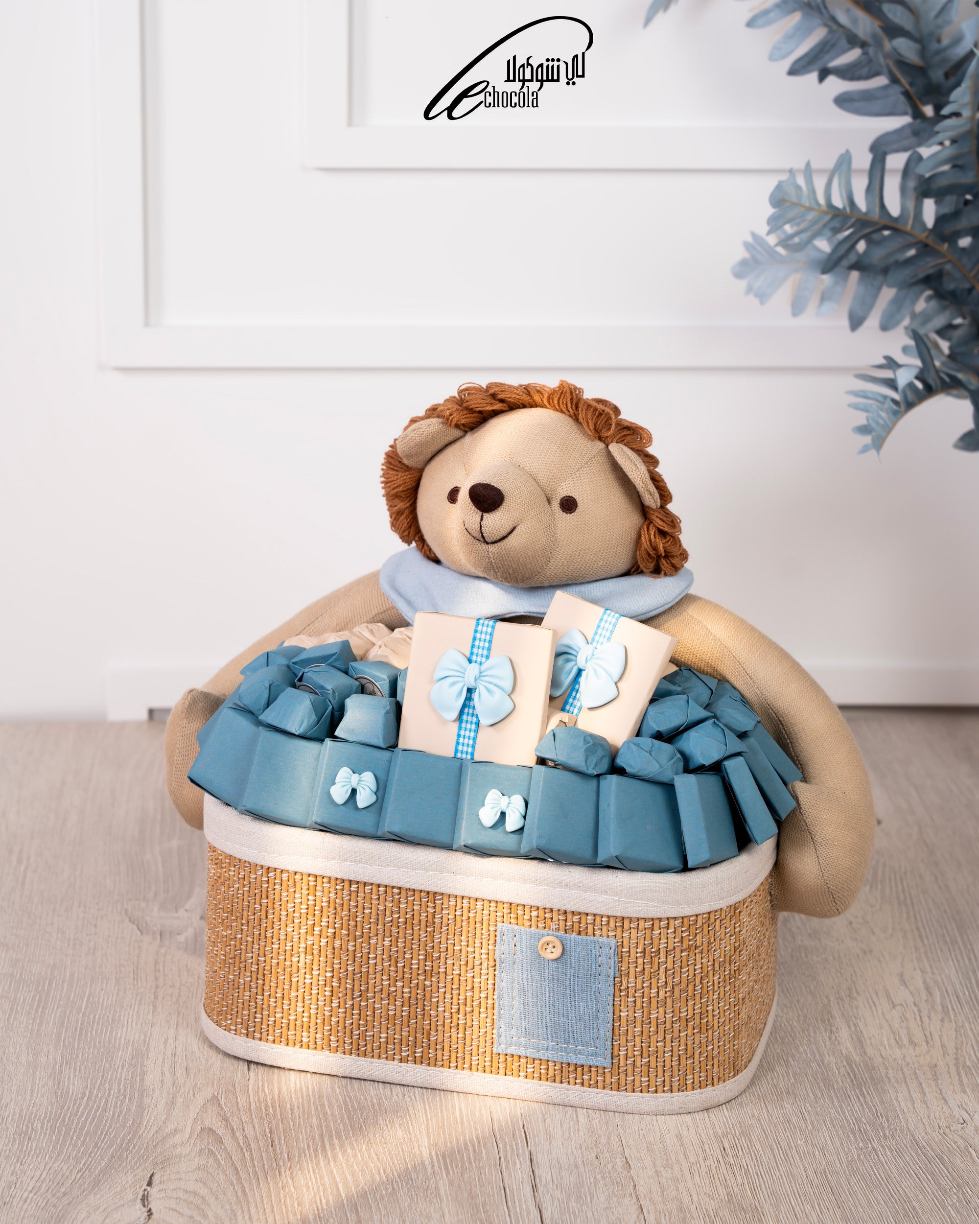 Boy basket 10