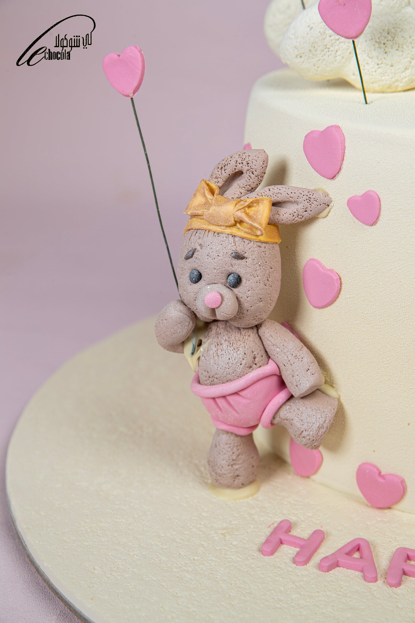 
                  
                    Bear Cake
                  
                
