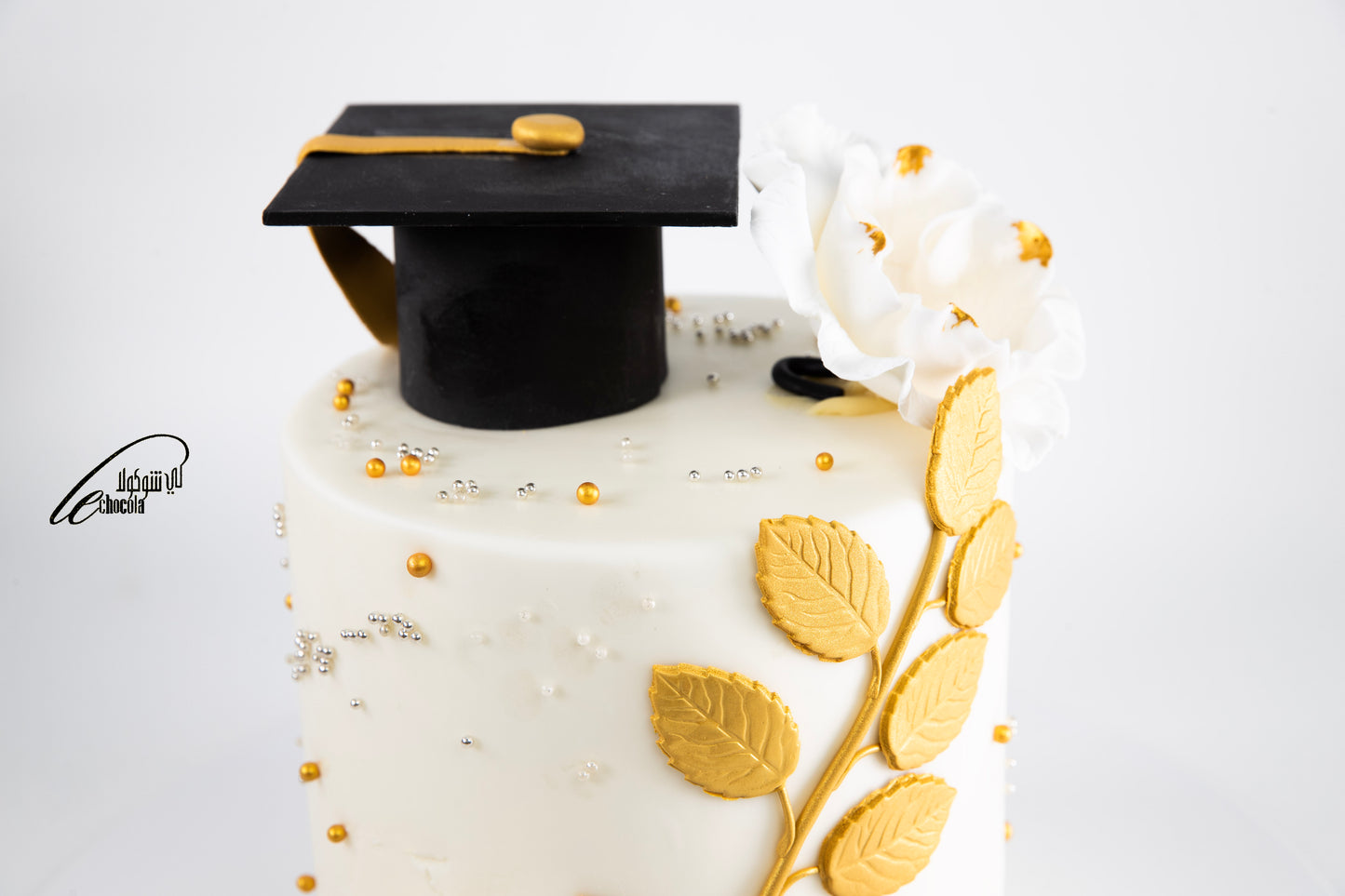 
                  
                    Graduation Cake
                  
                