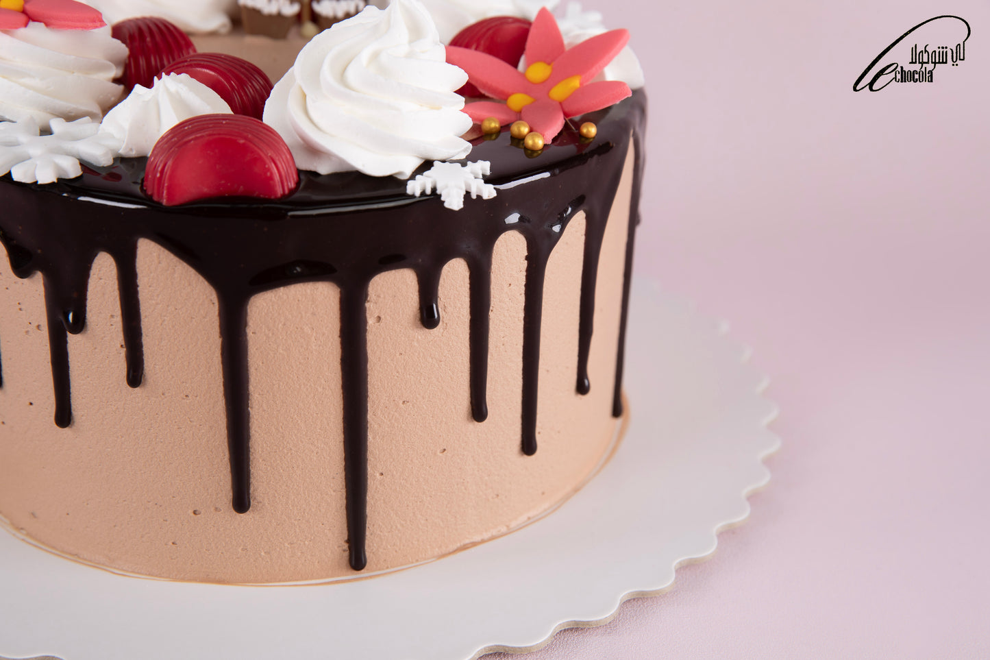 
                  
                    B20 le cake
                  
                