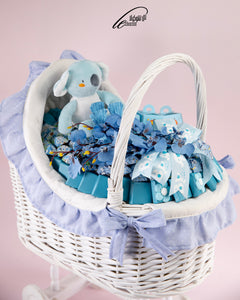 baby boy trolley