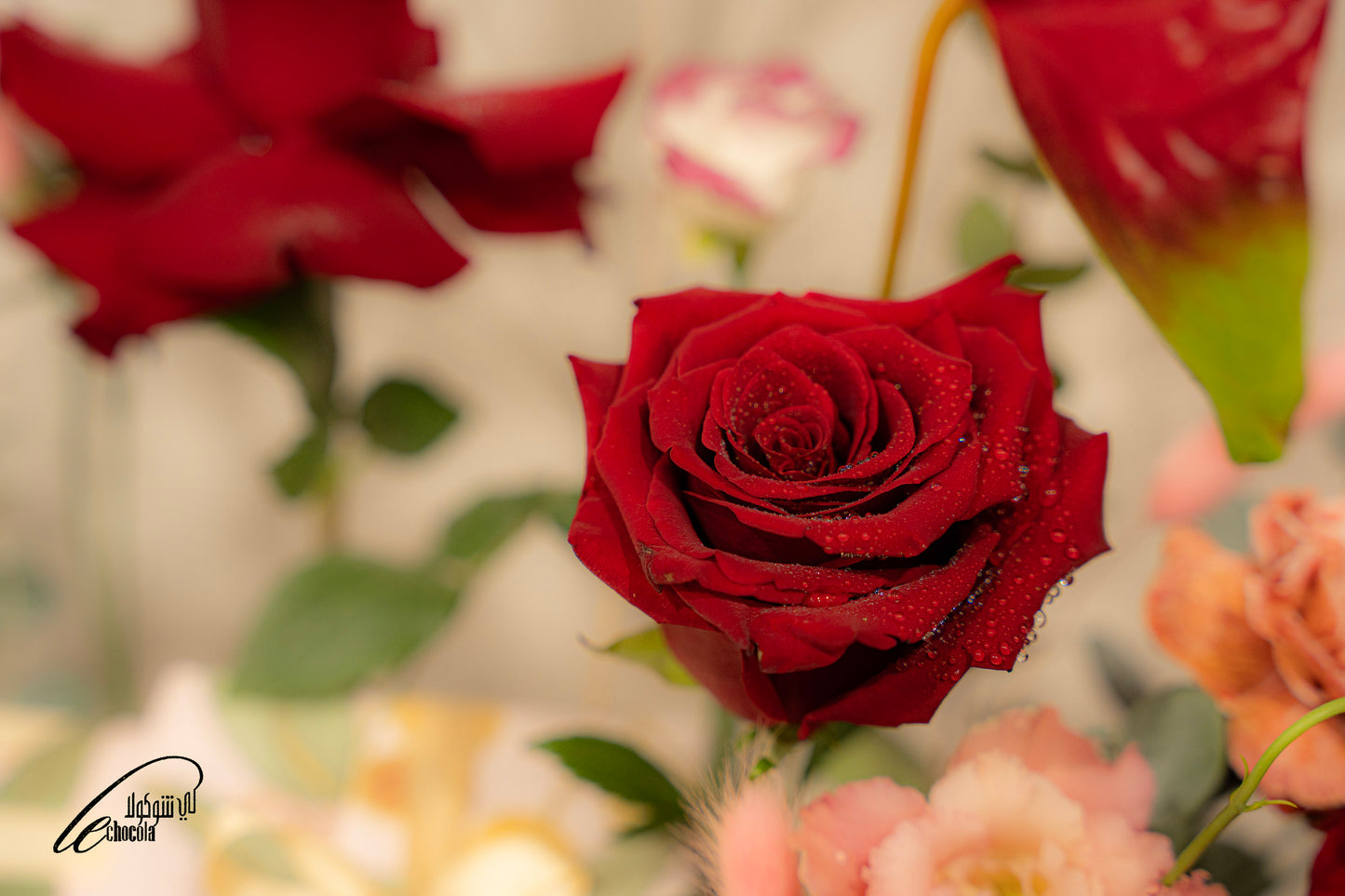 
                  
                    F30 flower bouquet with chocolate
                  
                