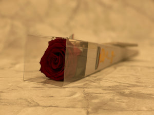 Le Chocola Chocolate Gift Online Order Free delivery Gifts UAE Online Le Chocola Send Gifts Sweets Gifts Birthday Gifts Mix Chocolates Chocolates Online Wedding Chocolates Dubai Gifts Online Gifts Le Chocola Online Store Mobile App Chocolate Delivery Expo 2021 Dubai