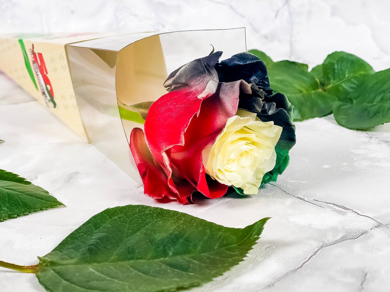 
                  
                    National Day Gift for one
                  
                