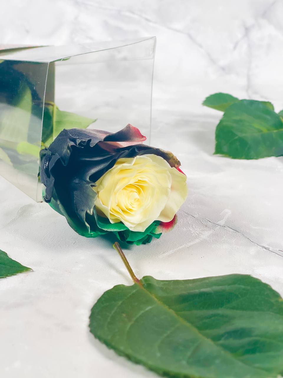 
                  
                    National Day Gift for one
                  
                