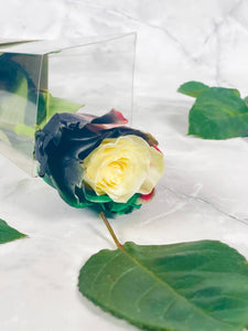 National Day Gift for one
