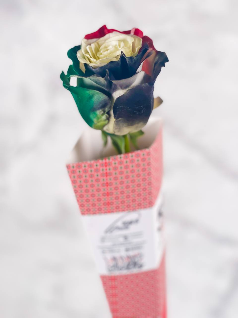 
                  
                    National Day Gift for one
                  
                