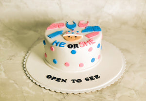 He or She Cake